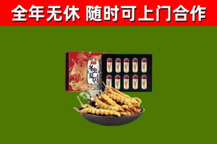 溧水回收冬虫夏草价格